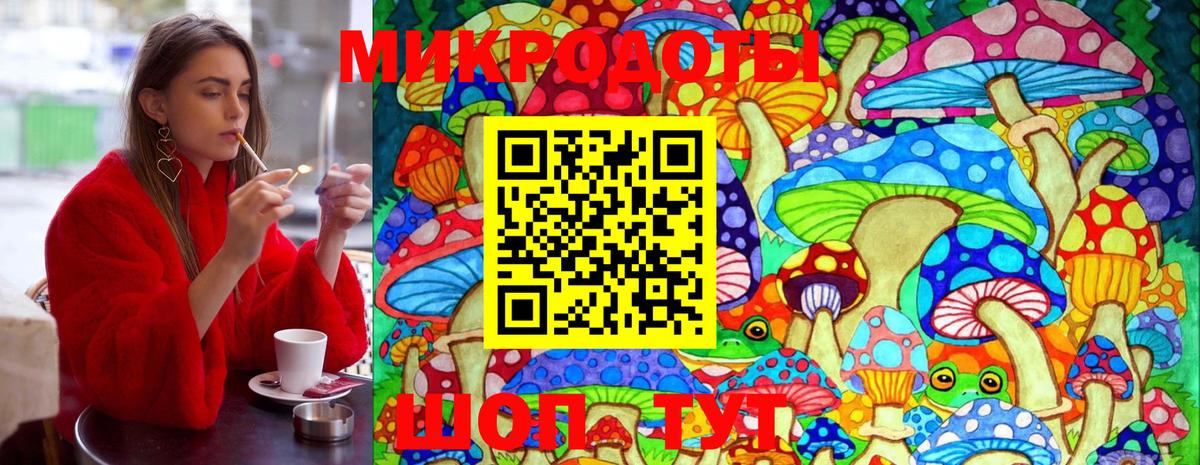 Галлюциногенные грибы MAGIC MUSHROOMS  Вход с VPN  Обь 