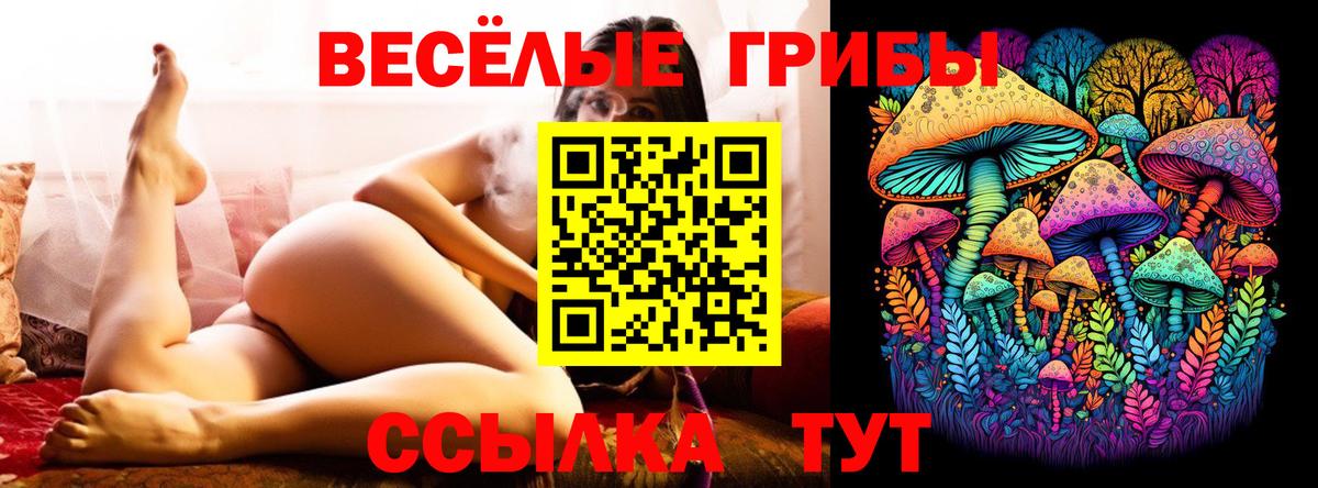 Галлюциногенные грибы мухоморы Обь
